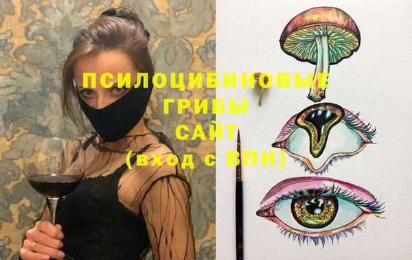 индика Алзамай